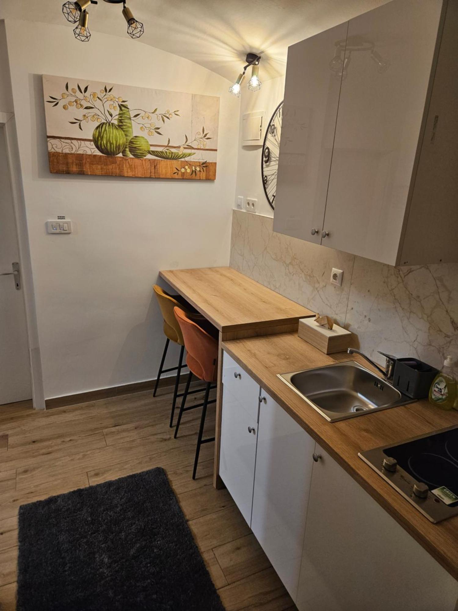 Apartment Maja - Strict Center Of Zagreb Dış mekan fotoğraf