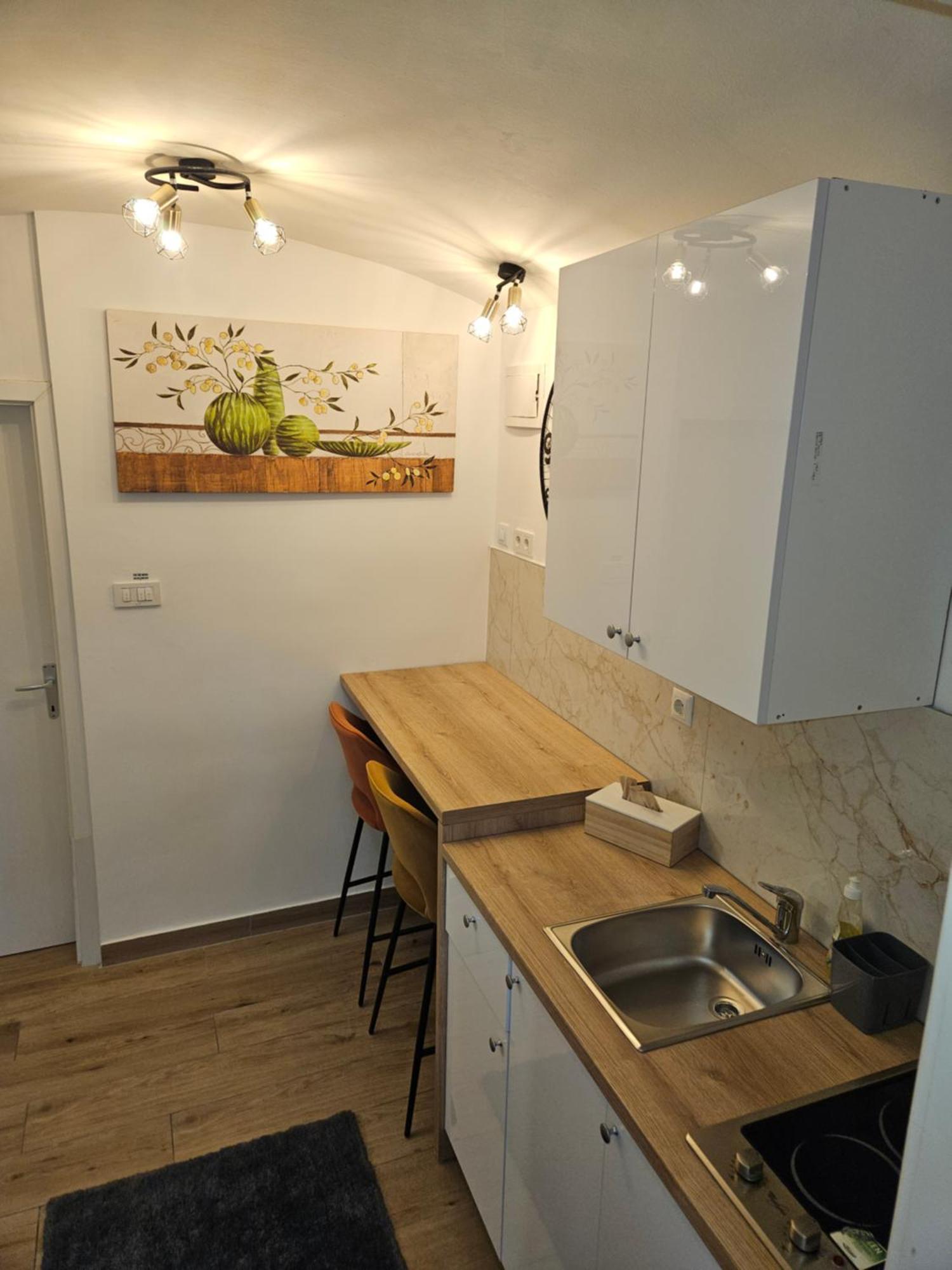 Apartment Maja - Strict Center Of Zagreb Dış mekan fotoğraf